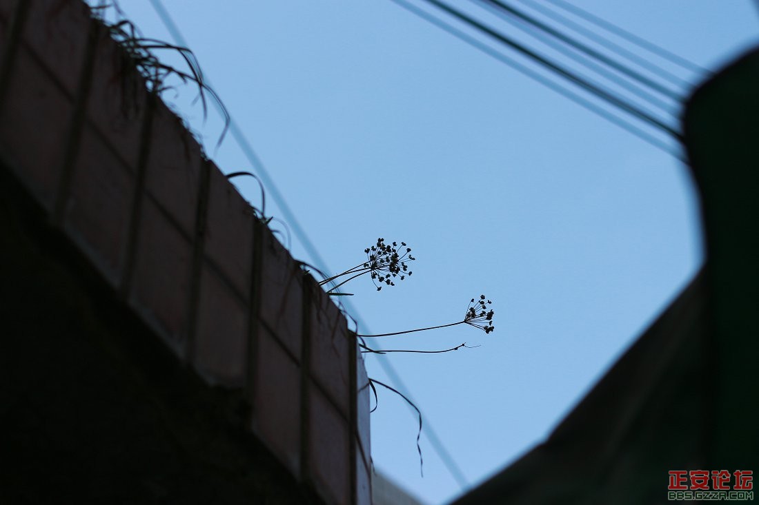 城关粮库插图18