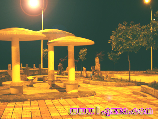 009_p7GgWR1717B1.jpg