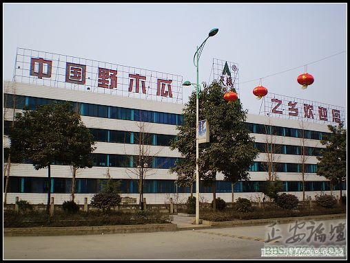 回乡甩拍几张插图3