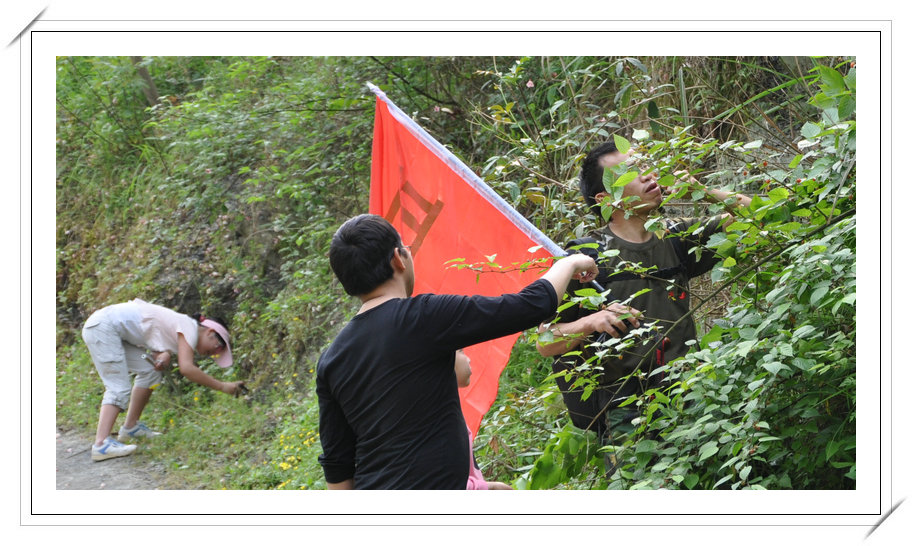 麻湾洞峡谷——记走遍正安第二十四期插图23