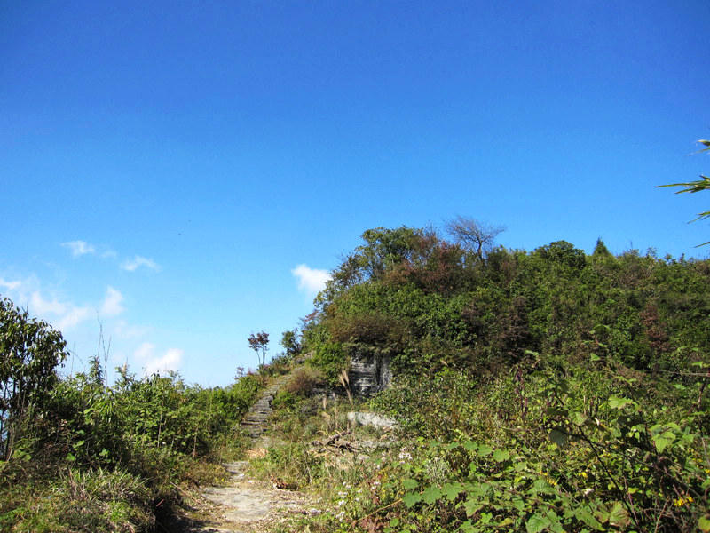 顶箐山风景独好，务本堂神韵依然——走遍正安活动第二十一期纪行插图90
