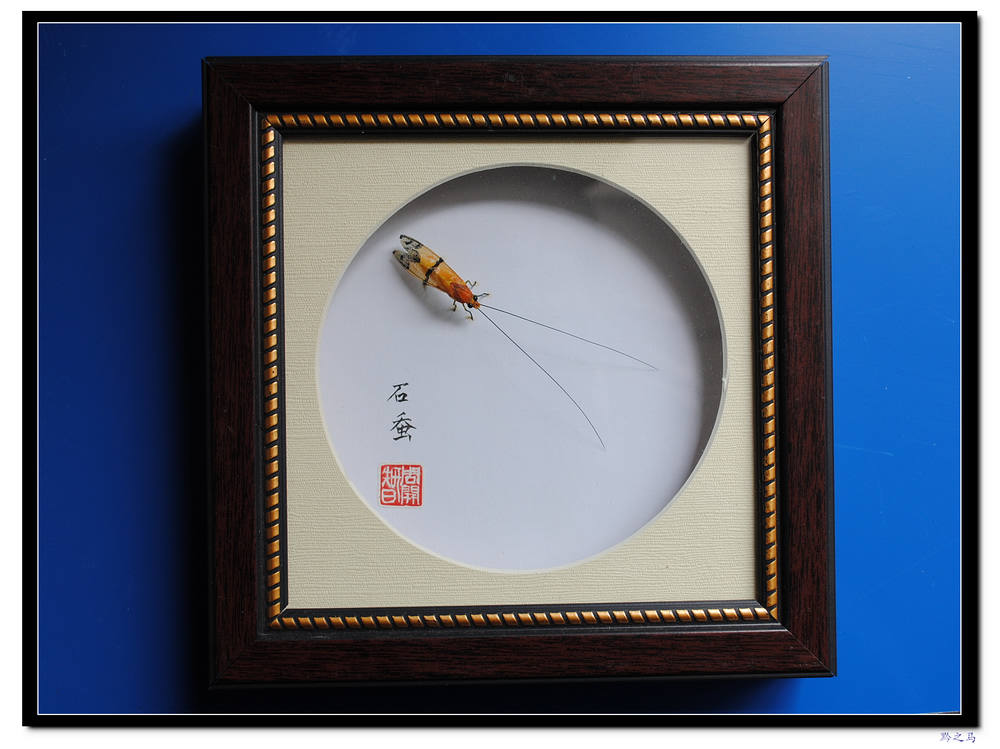 周开智老师的折纸艺术8.jpg