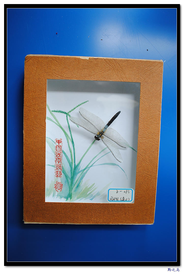 周开智老师的折纸艺术10.jpg