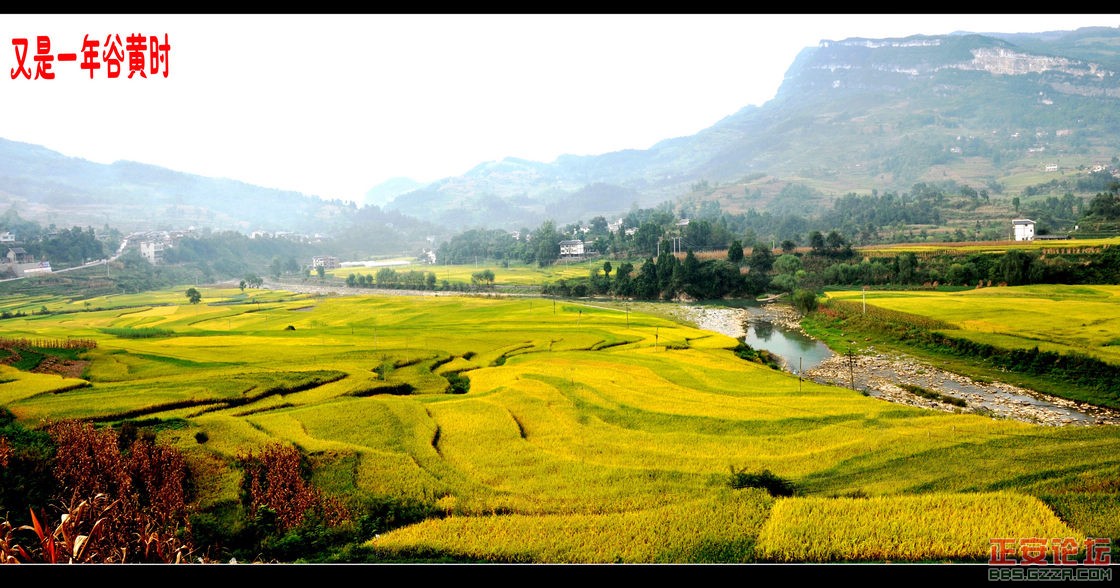 DSC_2370_conew1.JPG