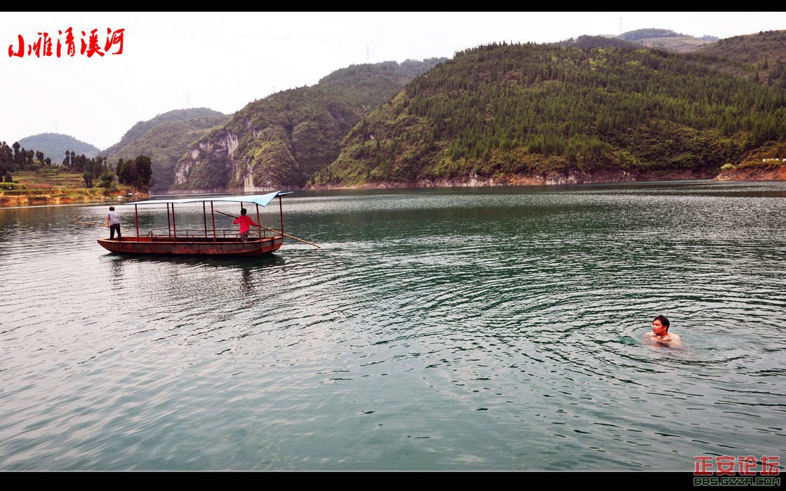DSC_2599_conew1.JPG