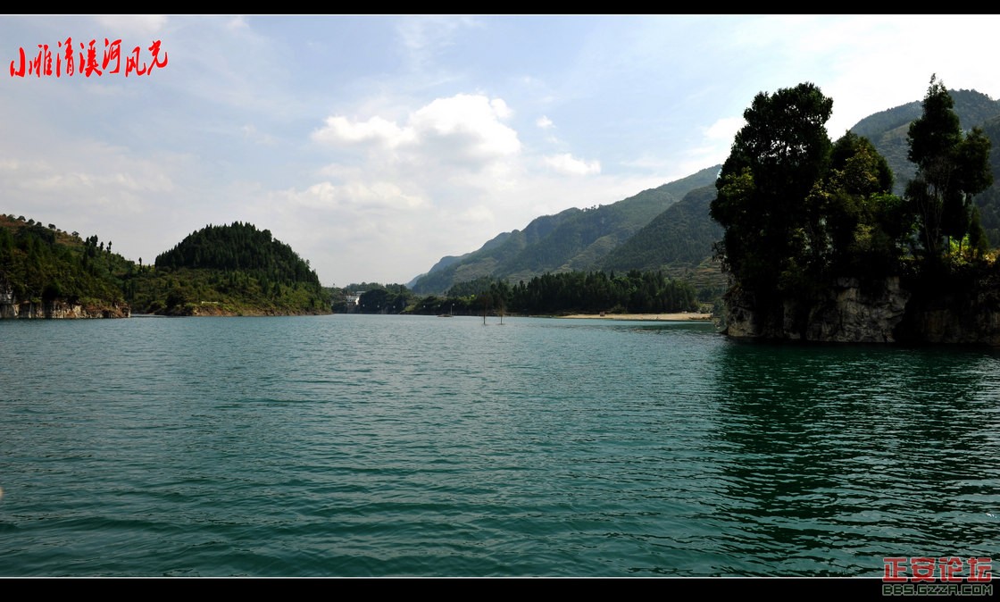 DSC_2529_conew1.JPG