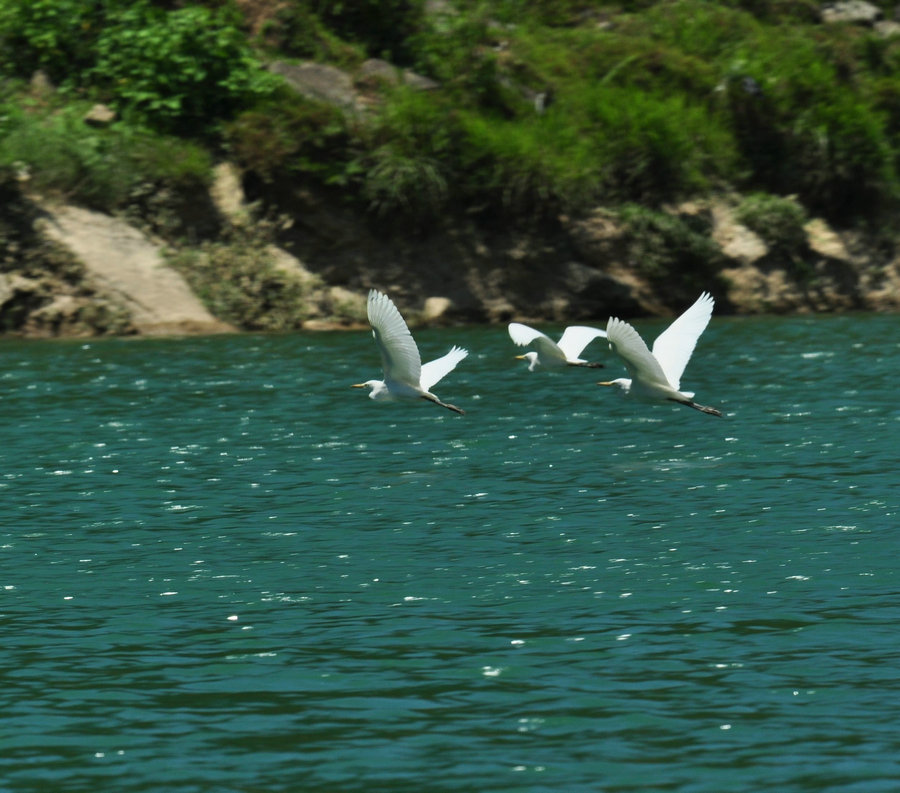 DSC_3327.JPG