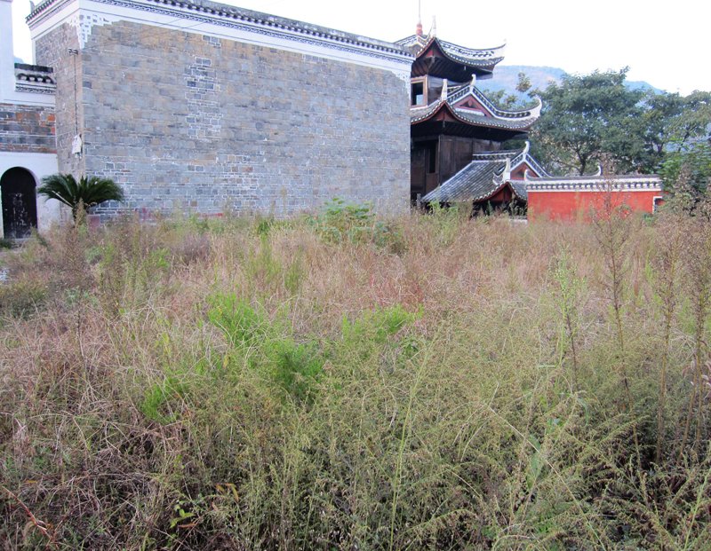顶箐山风景独好，务本堂神韵依然——走遍正安活动第二十一期纪行插图118