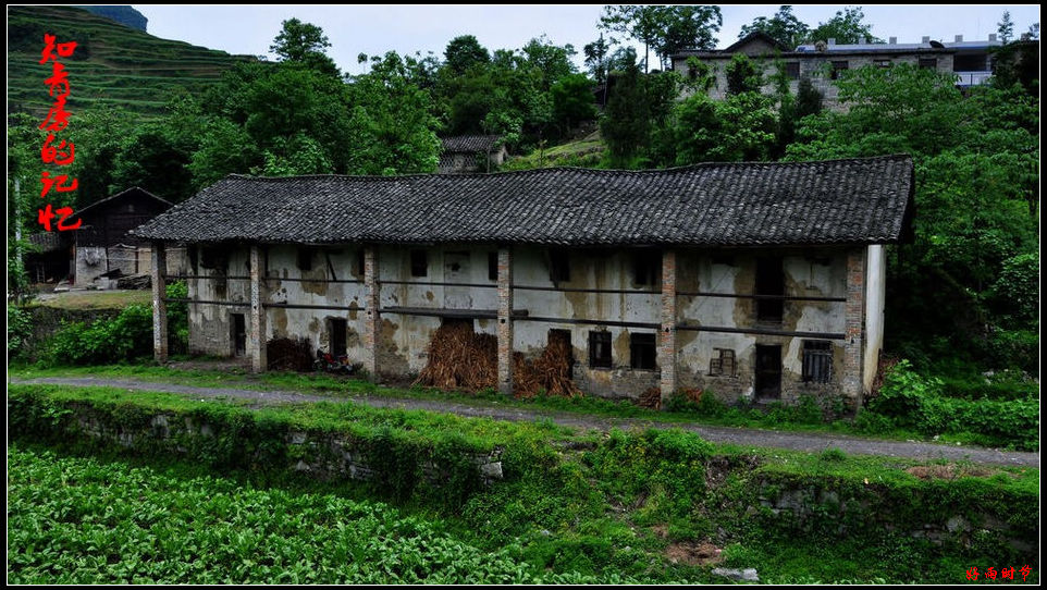 DSC_2796_conew1.JPG