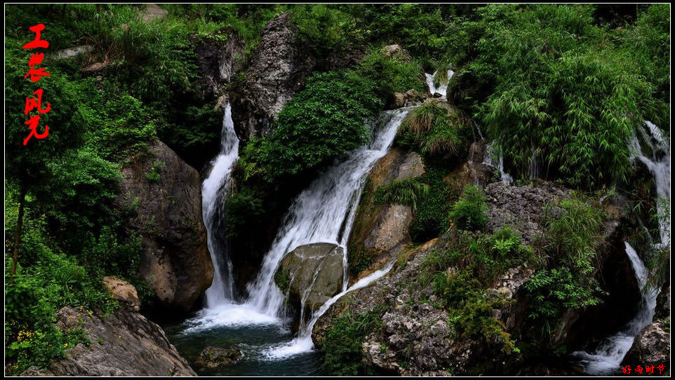 DSC_2856_conew1.JPG