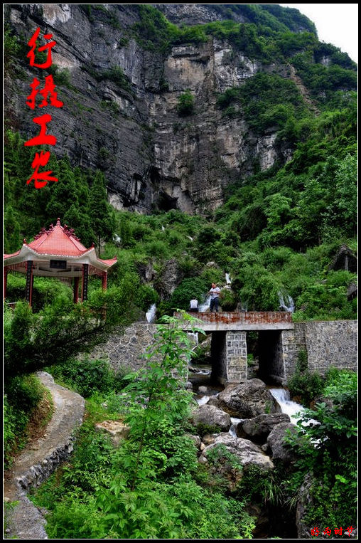 DSC_2910_conew1.JPG