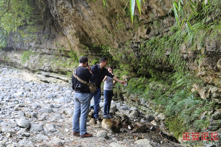 峡谷美景游不尽，故事传奇讲不完——庙塘河麻沟游记（走遍正安第二十六期 ）插图35