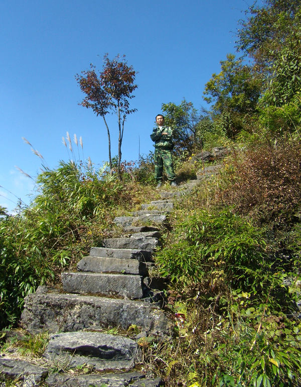 顶箐山风景独好，务本堂神韵依然——走遍正安活动第二十一期纪行插图92
