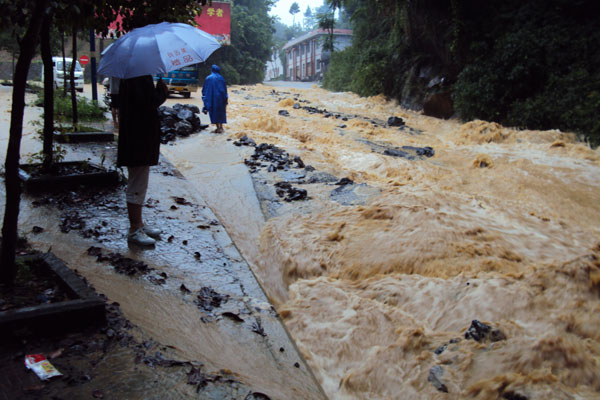 2010.7.9正安大暴雨后图片集插图20