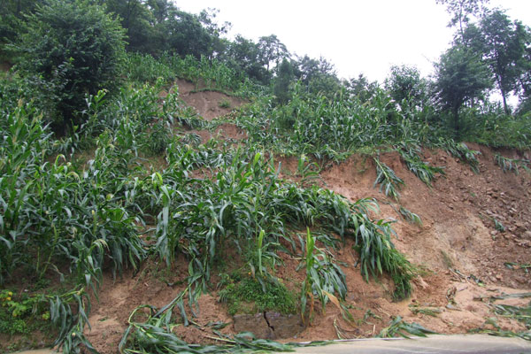 2010.7.9正安大暴雨后图片集插图22