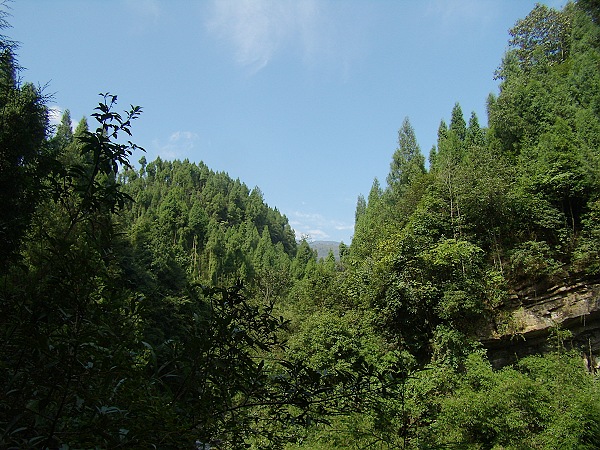 PA160061.jpg