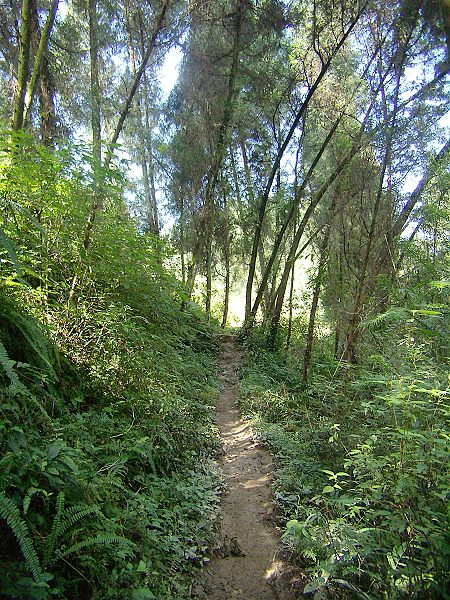走遍正安第二十期:铁丝桥 北京堂寺 桑坝大桥插图7