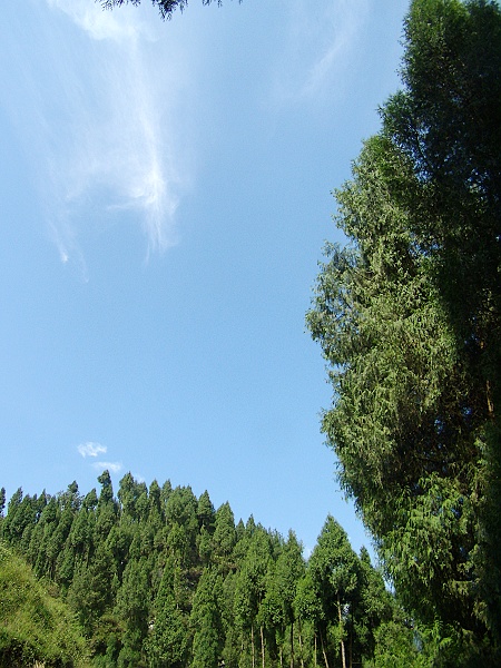 PA160065.jpg