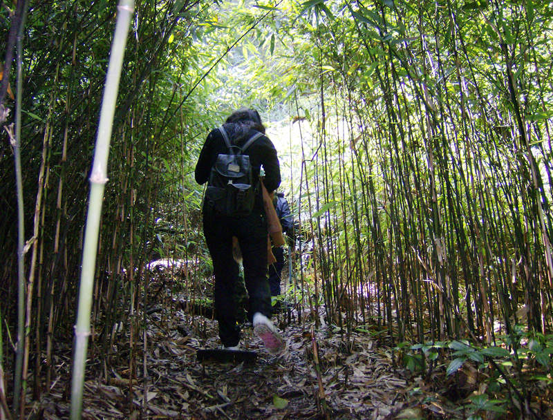 顶箐山风景独好，务本堂神韵依然——走遍正安活动第二十一期纪行插图42