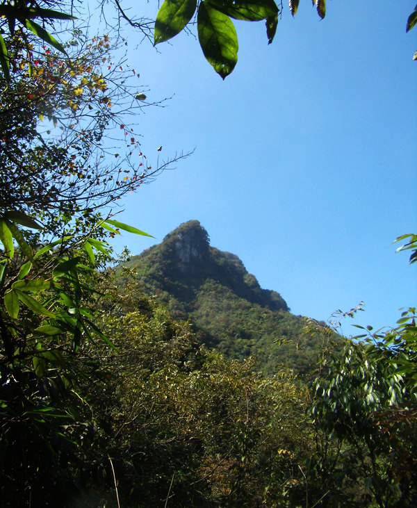 顶箐山风景独好，务本堂神韵依然——走遍正安活动第二十一期纪行插图57