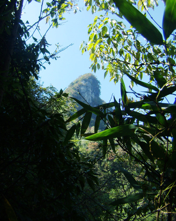 顶箐山风景独好，务本堂神韵依然——走遍正安活动第二十一期纪行插图56