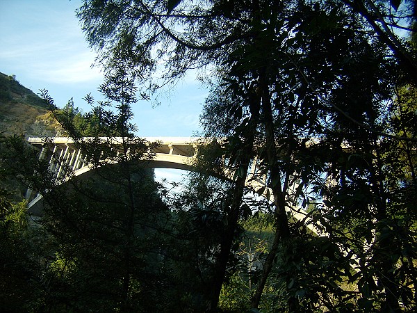 PA160105.jpg