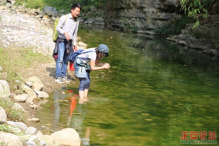 峡谷美景游不尽，故事传奇讲不完——庙塘河麻沟游记（走遍正安第二十六期 ）插图44