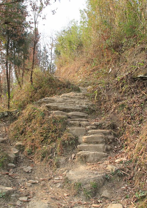 碧峰乡庆丰村苏家沟公益行——记走遍正安第二十三期插图27