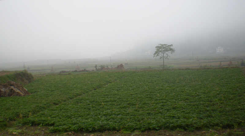 顶箐山风景独好，务本堂神韵依然——走遍正安活动第二十一期纪行插图5