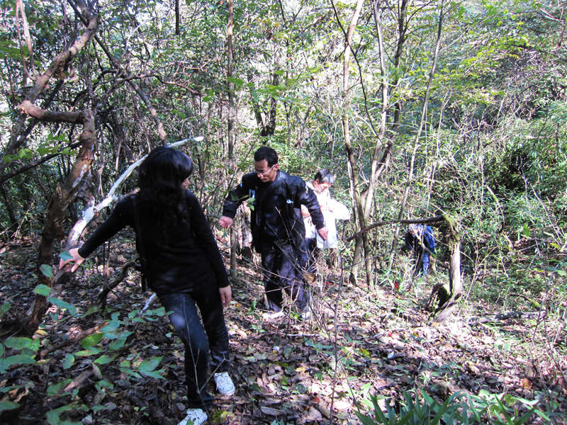 顶箐山风景独好，务本堂神韵依然——走遍正安活动第二十一期纪行插图45