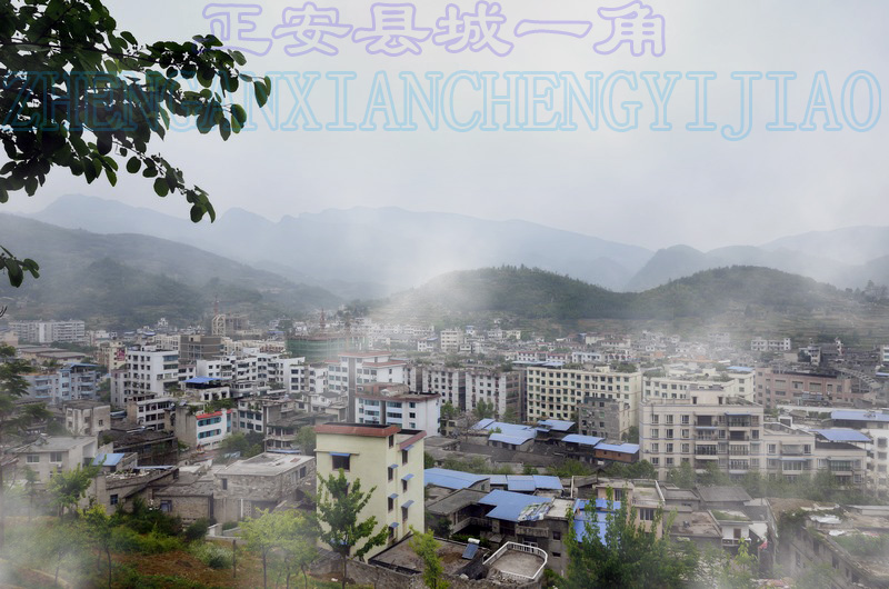 随性而摄插图2