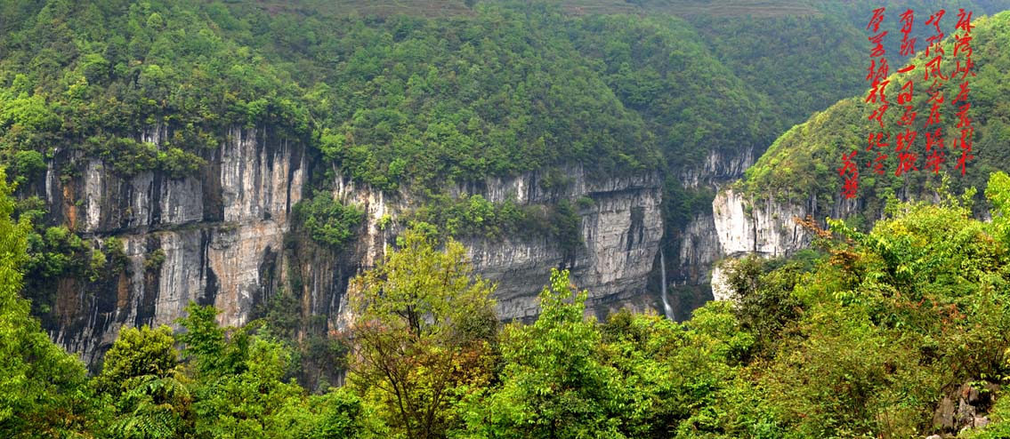麻湾洞峡谷——记走遍正安第二十四期插图61