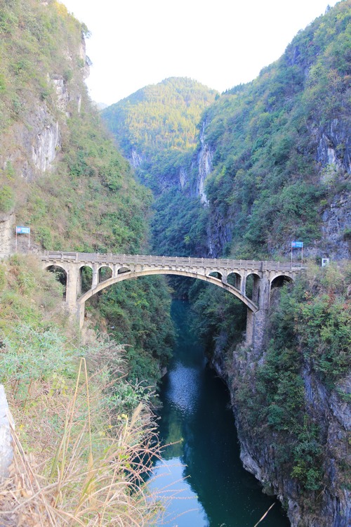 班竹板香沟——记我们足迹越过正安海拔最低的地方插图36