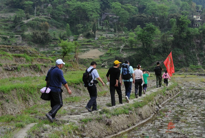 麻湾洞峡谷——记走遍正安第二十四期插图62