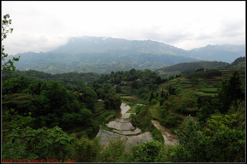 DSC_2960.jpg