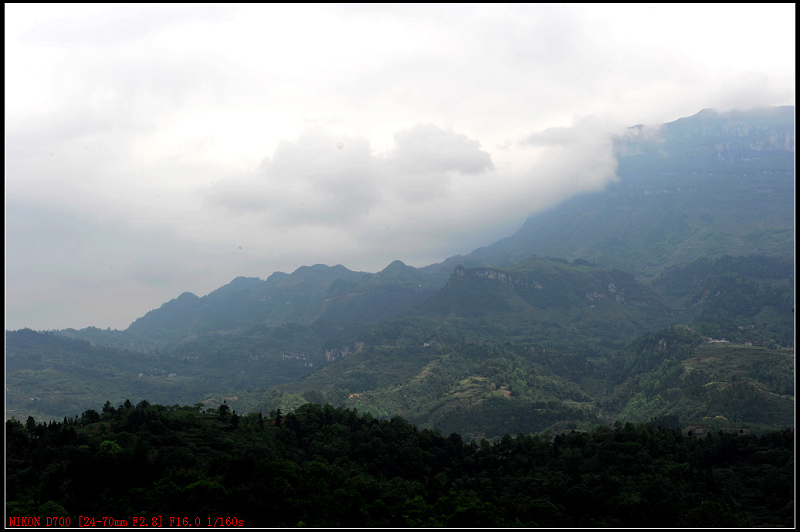 DSC_2966.jpg