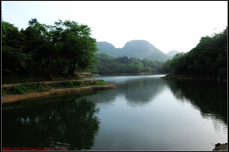 DSC_3106.jpg