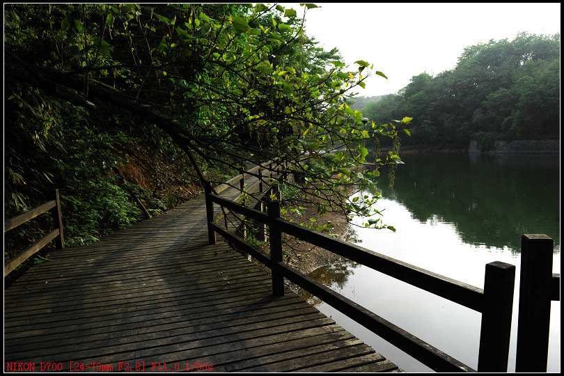 DSC_3109.jpg