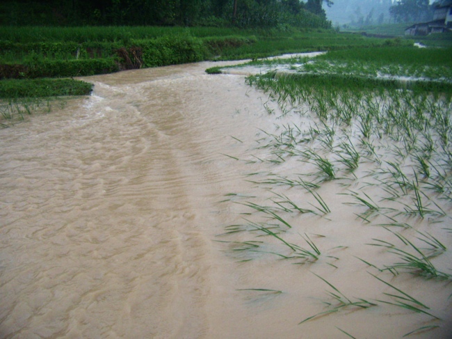 2010.7.9正安大暴雨后图片集插图18