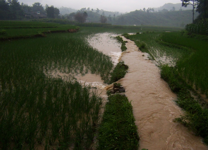 2010.7.9正安大暴雨后图片集插图19