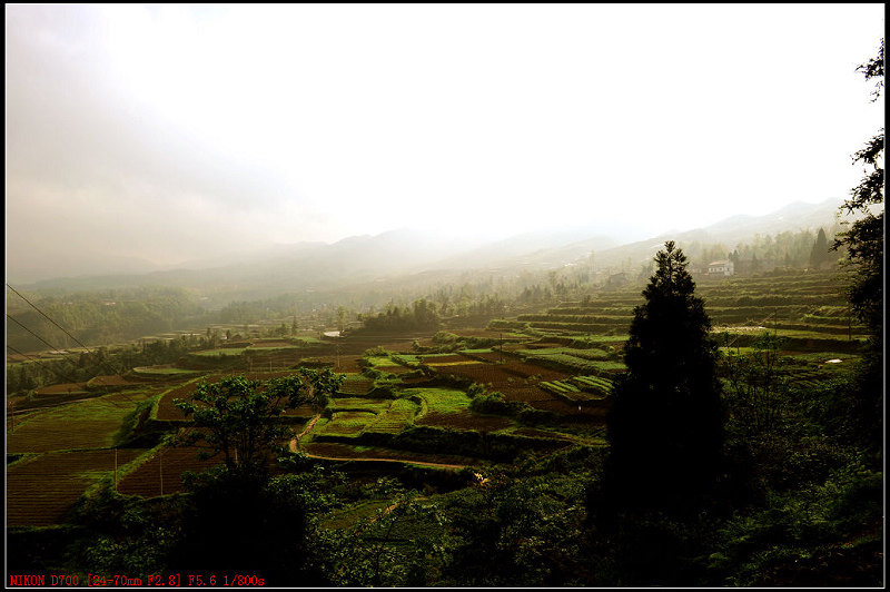 DSC_3016.jpg