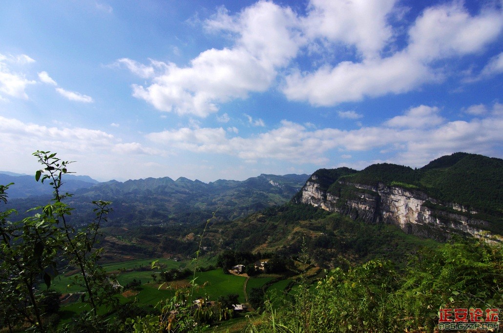 独特的石笋峰，桴焉葱翠的茶山插图6