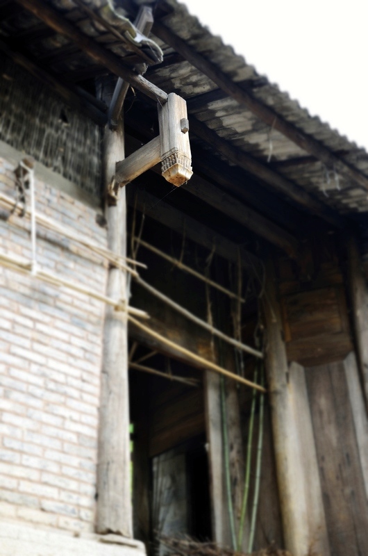 麻湾洞峡谷——记走遍正安第二十四期插图111