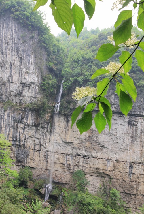 麻湾洞峡谷——记走遍正安第二十四期插图57