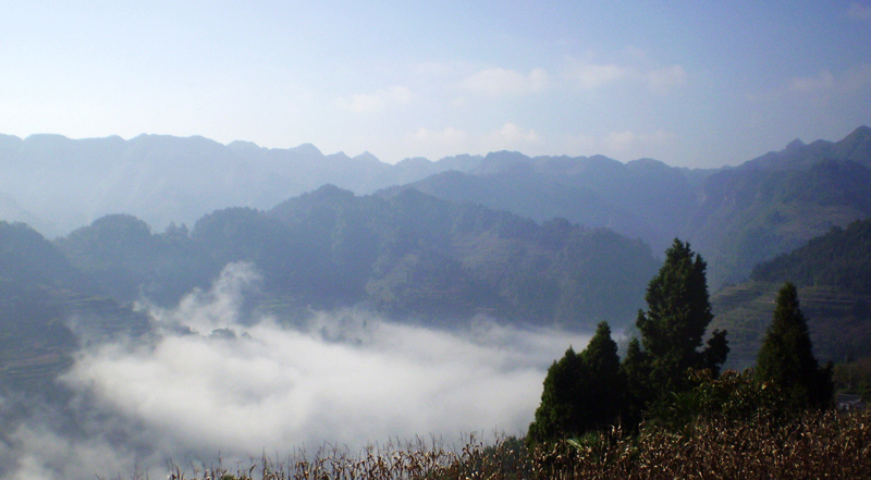 顶箐山风景独好，务本堂神韵依然——走遍正安活动第二十一期纪行插图12