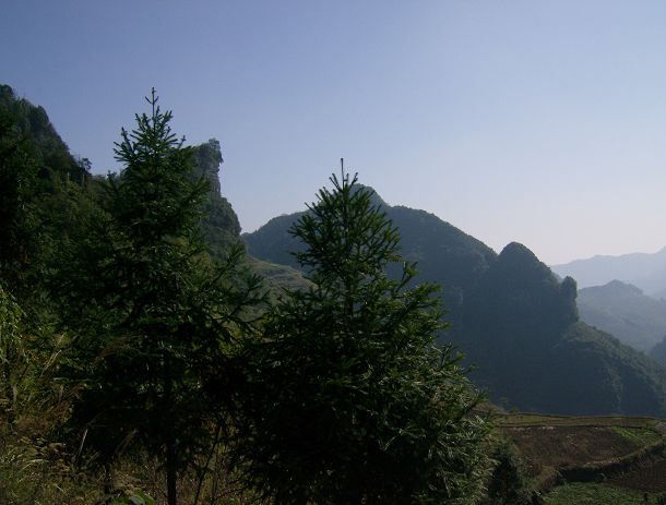 老朱狼狈登绝顶，七贤恣意穿竹林插图9