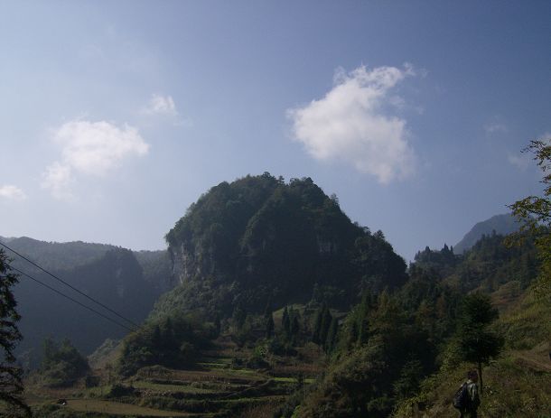 老朱狼狈登绝顶，七贤恣意穿竹林插图12