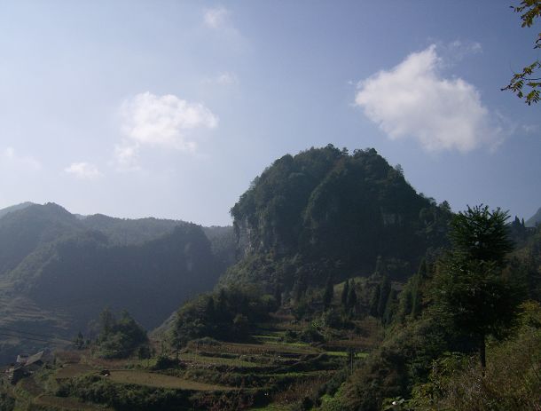 老朱狼狈登绝顶，七贤恣意穿竹林插图13