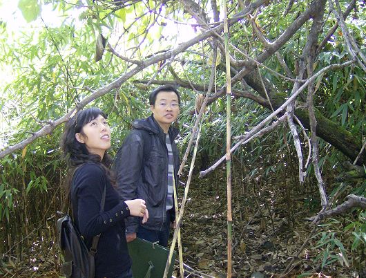 老朱狼狈登绝顶，七贤恣意穿竹林插图43