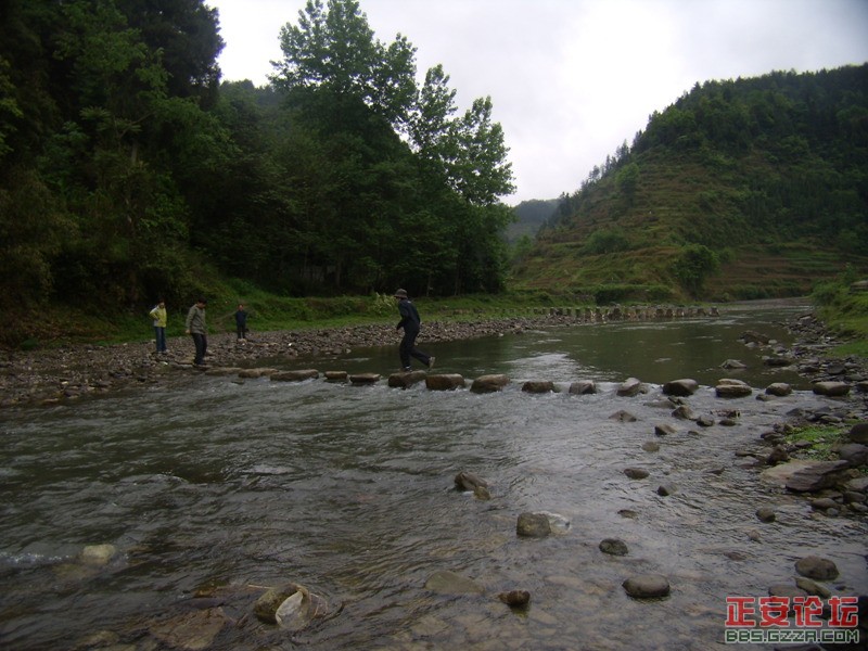 P4300016.jpg
